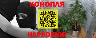 PSILOCYBIN Тара