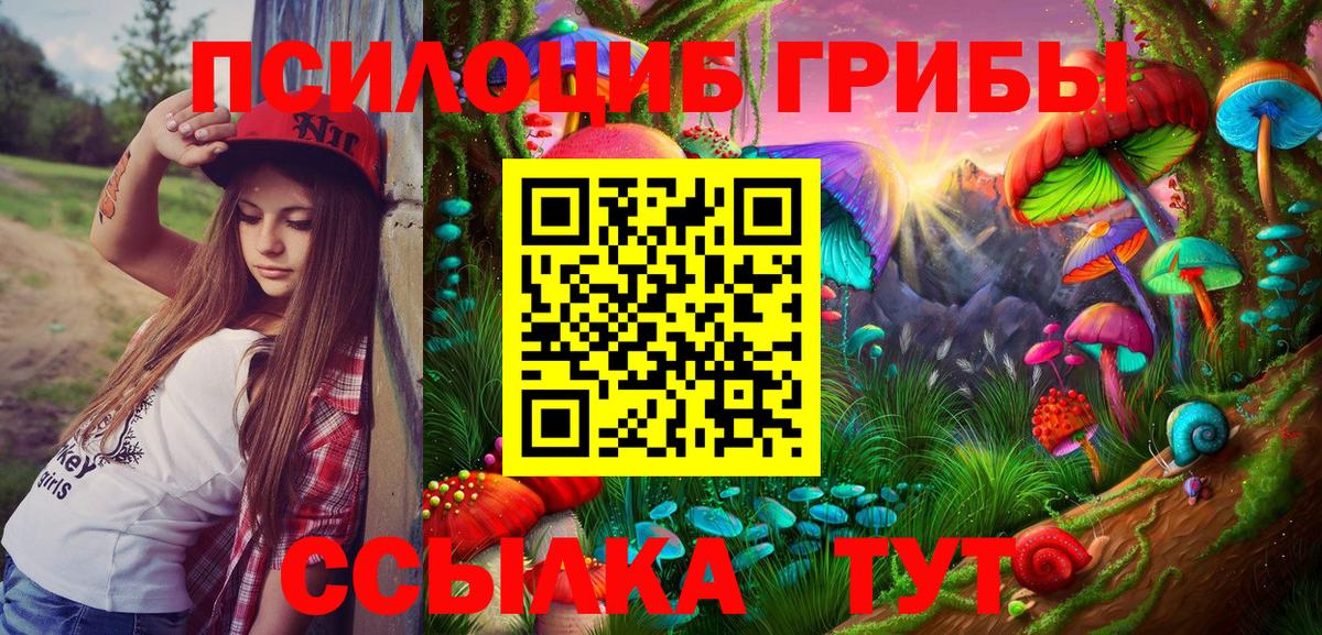 Псилоцибиновые грибы мухоморы Ногинск